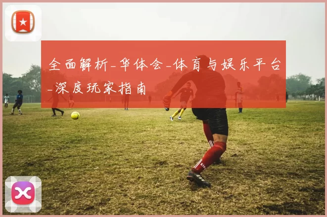 全面解析_华体会_体育与娱乐平台_深度玩家指南