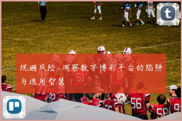 规避风险_洞察数字博彩平台的陷阱与选用智慧
