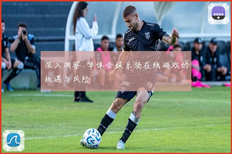 深入洞察_华体会娱乐场在线游戏的机遇与风险
