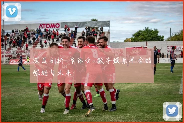 深度剖析_华体会_数字娱乐平台的崛起与未来