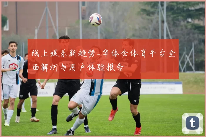 线上娱乐新趋势_华体会体育平台全面解析与用户体验报告