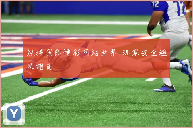 纵横国际博彩网站世界_玩家安全避坑指南