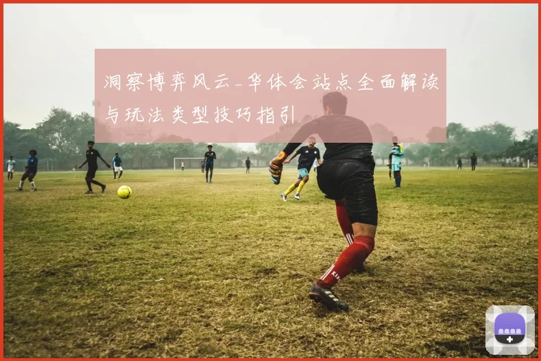 洞察博弈风云_华体会站点全面解读与玩法类型技巧指引