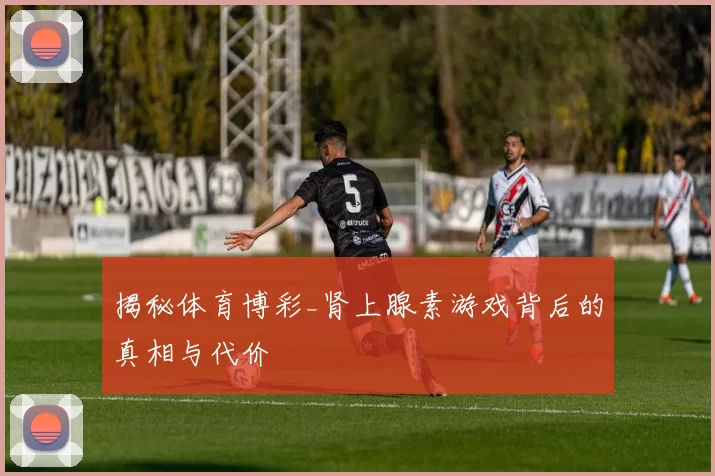 揭秘体育博彩_肾上腺素游戏背后的真相与代价