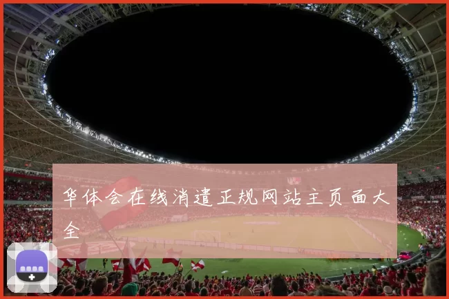 华体会在线消遣正规网站主页面大全