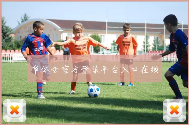 华体会官方登录平台入口在线