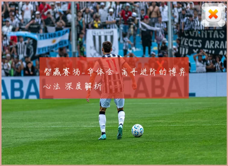 智赢赛场_华体会_高手进阶的博弈心法 深度解析
