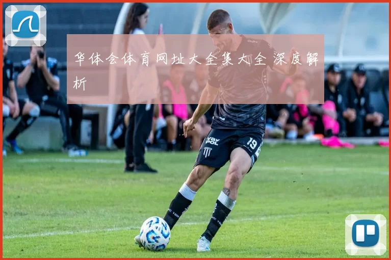 华体会体育网址大全集大全 深度解析