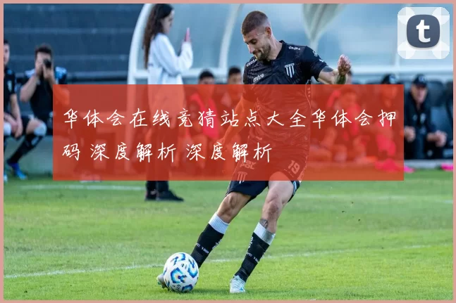 华体会在线竞猜站点大全华体会押码 深度解析 深度解析