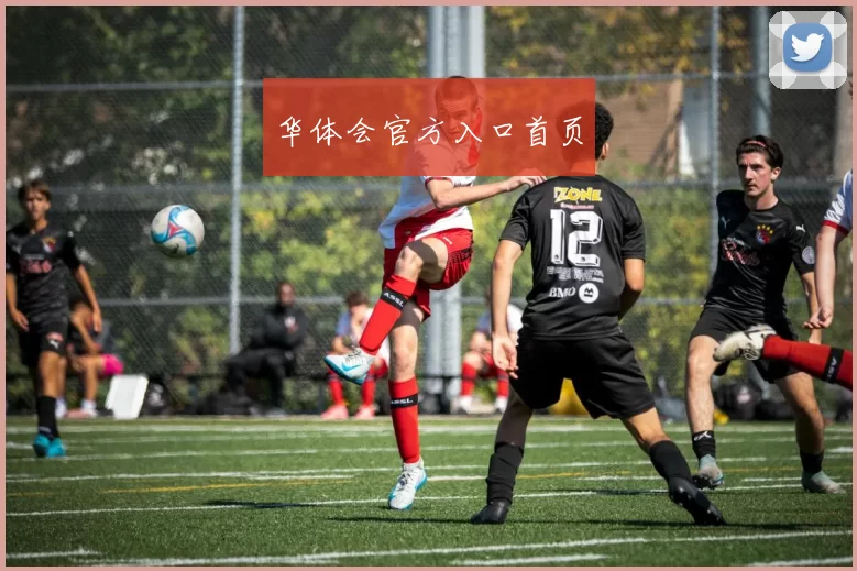 华体会官方入口首页