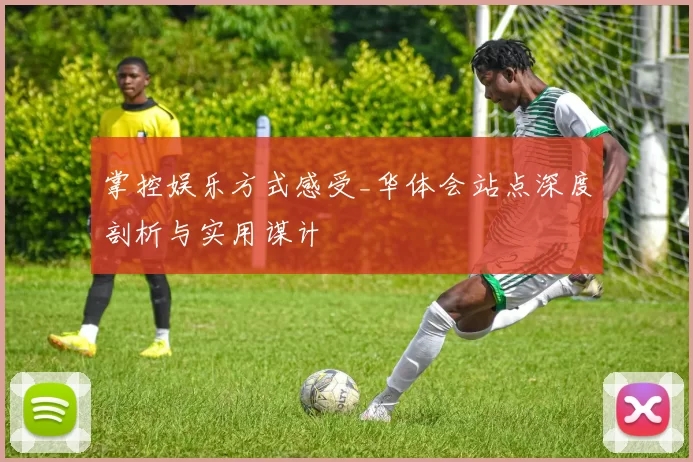 掌控娱乐方式感受_华体会站点深度剖析与实用谋计