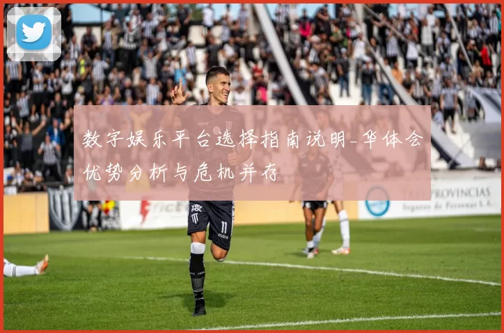 数字娱乐平台选择指南说明_华体会优势分析与危机并存