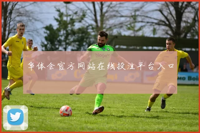 华体会官方网站在线投注平台入口