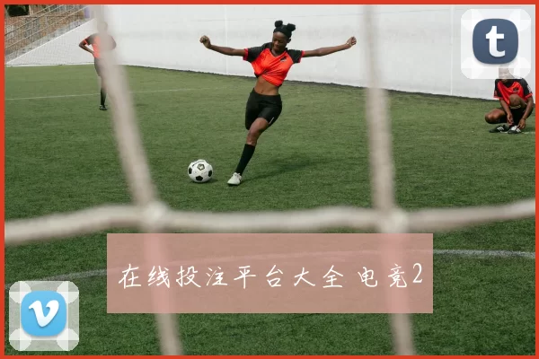 在线投注平台大全 电竞2