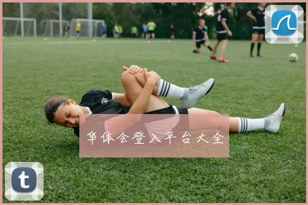 华体会登入平台大全