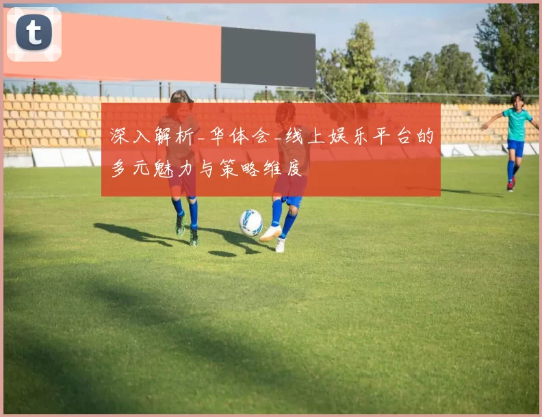 深入解析_华体会_线上娱乐平台的多元魅力与策略维度