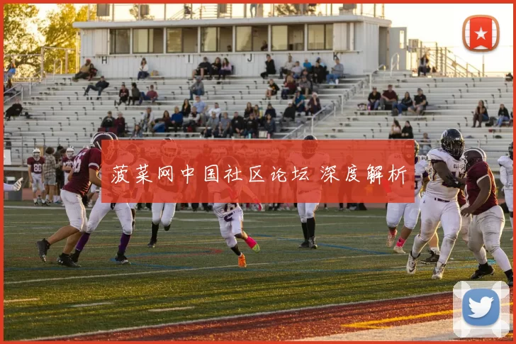 菠菜网中国社区论坛 深度解析