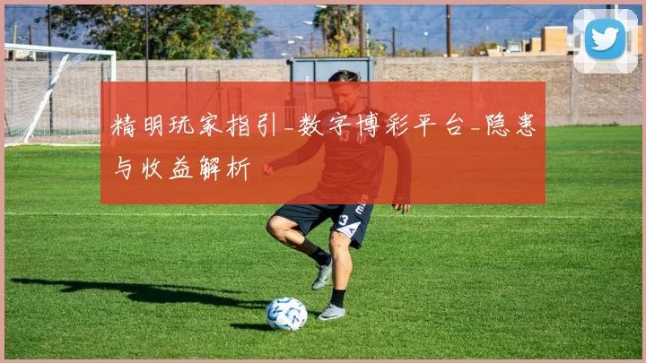 精明玩家指引_数字博彩平台_隐患与收益解析