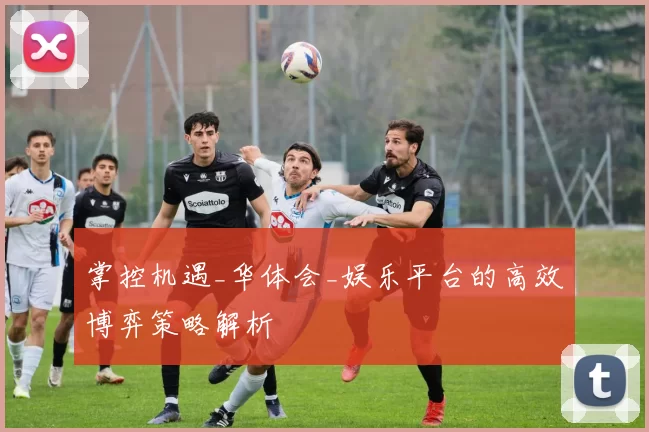 掌控机遇_华体会_娱乐平台的高效博弈策略解析