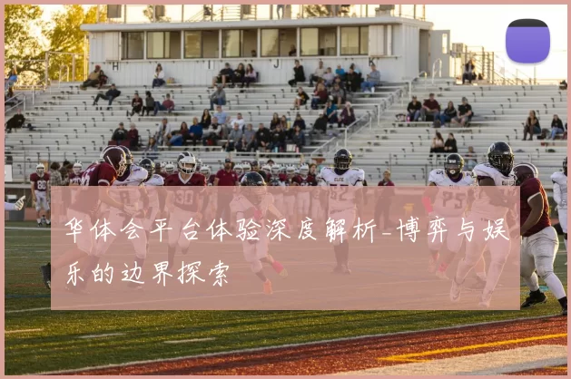 华体会平台体验深度解析_博弈与娱乐的边界探索