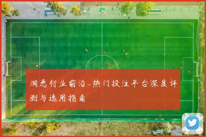 洞悉行业前沿_热门投注平台深度评测与选用指南