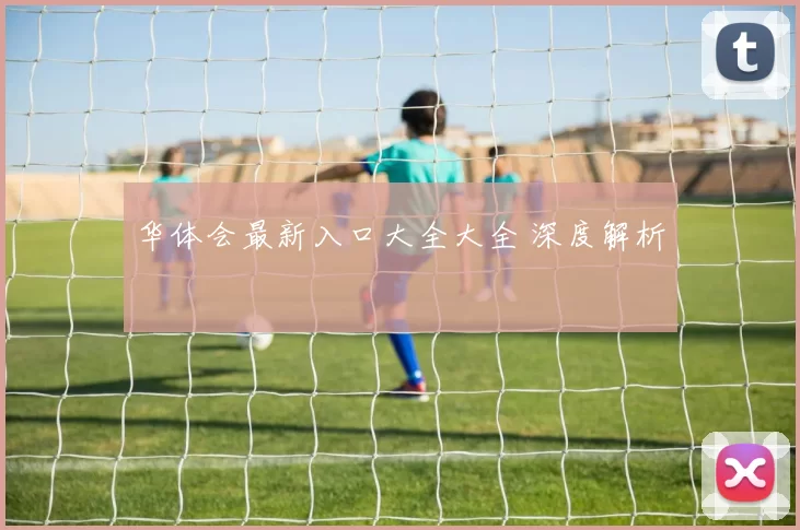 华体会最新入口大全大全 深度解析