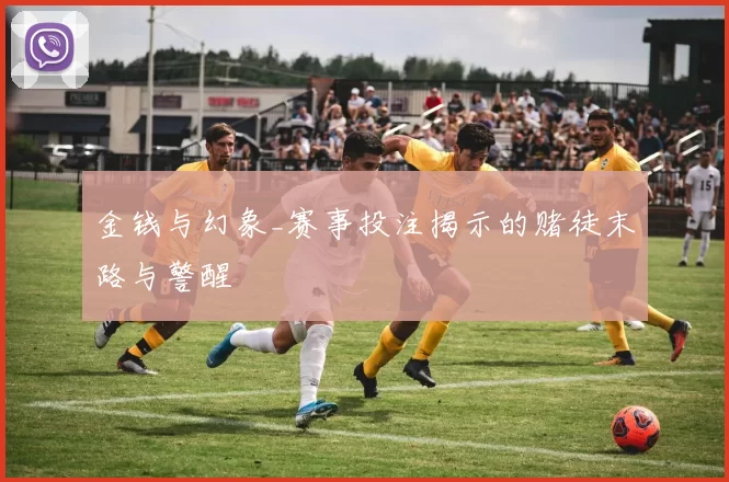 金钱与幻象_赛事投注揭示的赌徒末路与警醒
