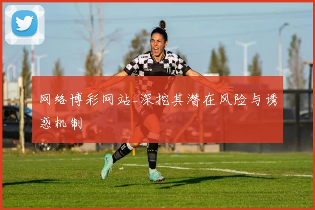 网络博彩网站_深挖其潜在风险与诱惑机制