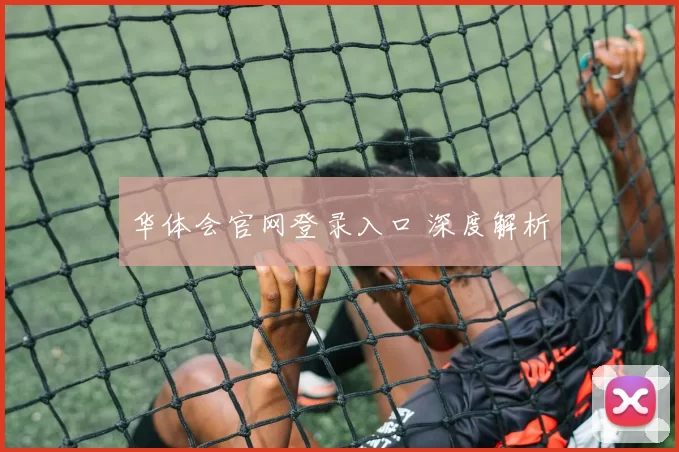 华体会官网登录入口 深度解析